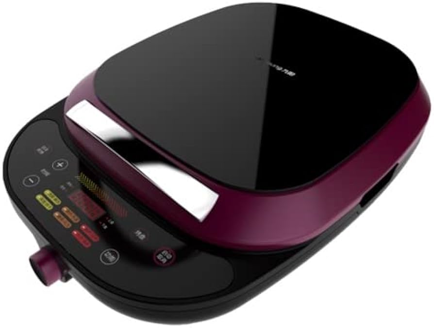 Small Electric Roasting Pan