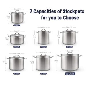 20 Quart Stock Pot