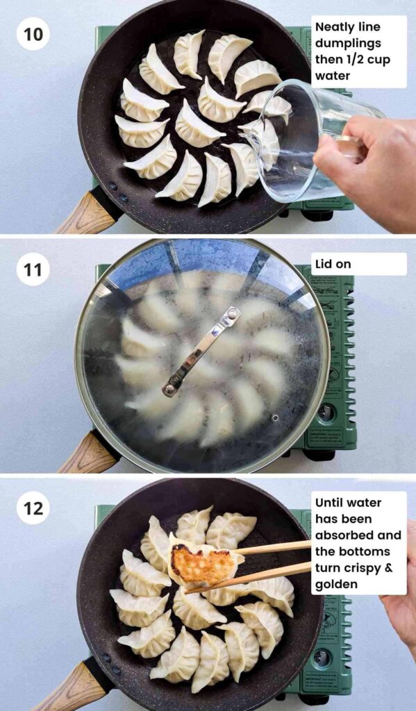 How to Pan Fry Dumplings