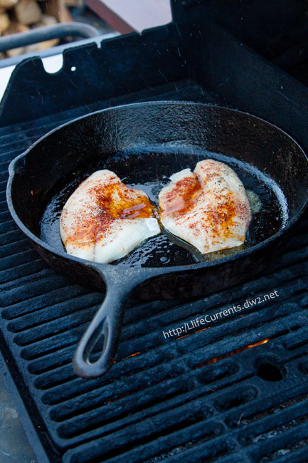 Fish Grilling Pan