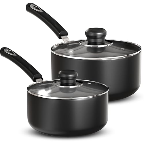 Best Saucepans