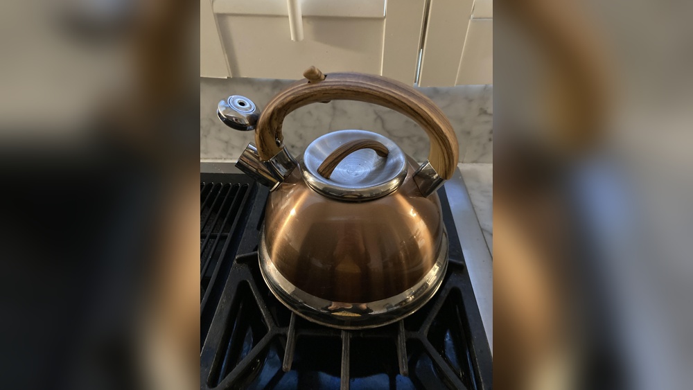 Balduzzi Tea Kettle