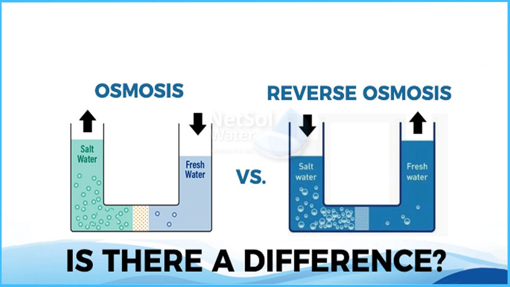 Osmosis Vs Reverse Osmosis