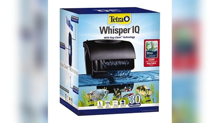 30 Gallon Filter for Fish Tank