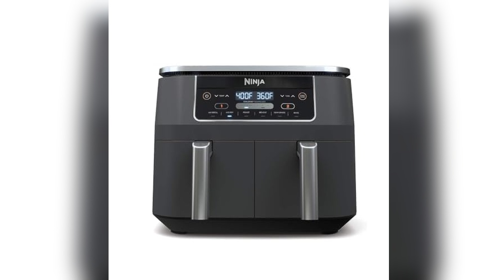 Best Dual Air Fryer