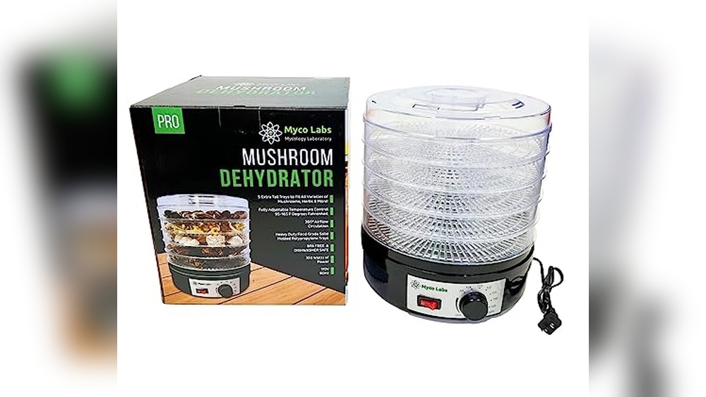 Best Mushroom Dehydrator