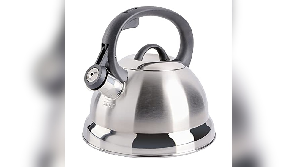 Best Rated Tea Kettle