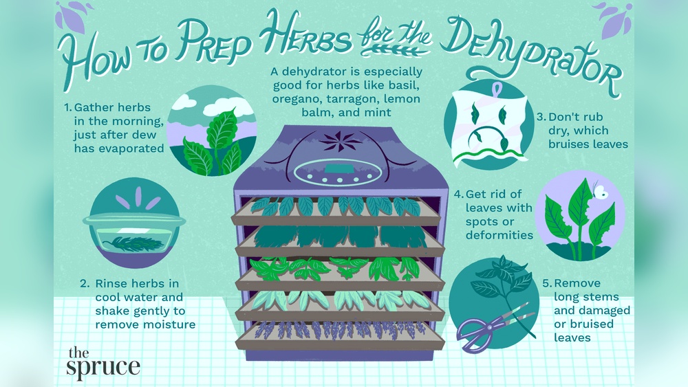 Dehydrating Herbs