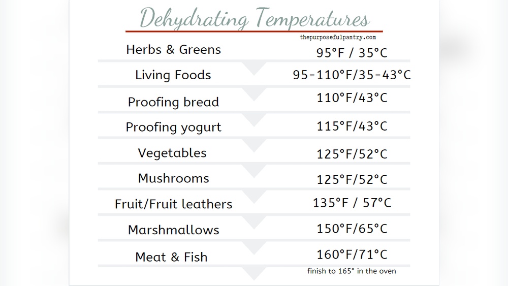 Dehydrator Temperature