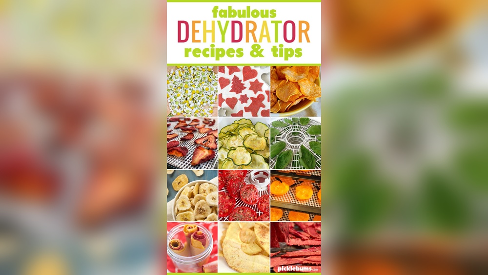 Food Dehydrator Recipes