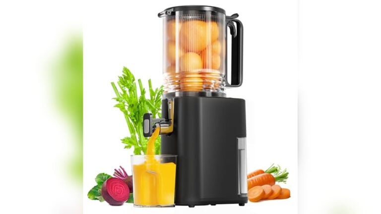 Fruit And Vegetable Juicer