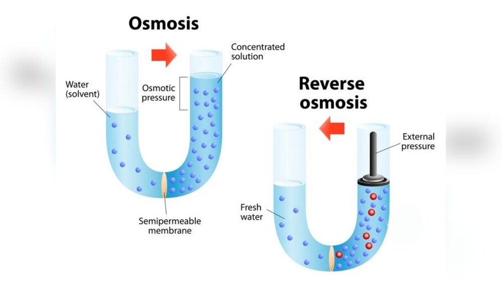How Does Reverse Osmosis Work