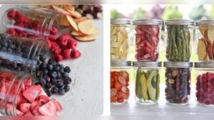 How to Freeze Dry Fruit