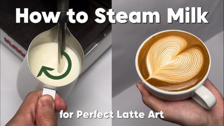 How to Steam Milk for Latte Art