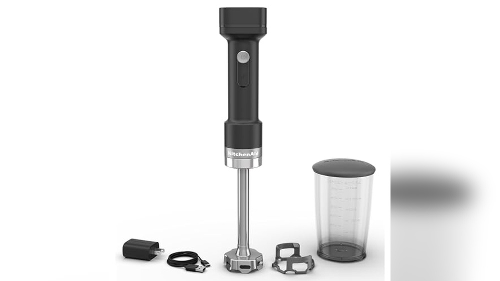 Immersion Blender Cordless