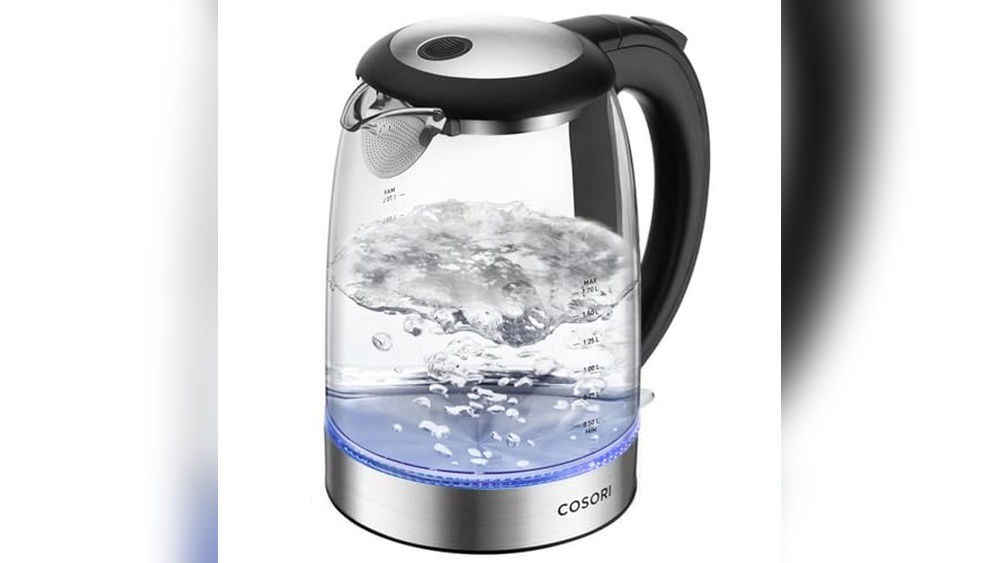 Japanese Electric Tea Kettle