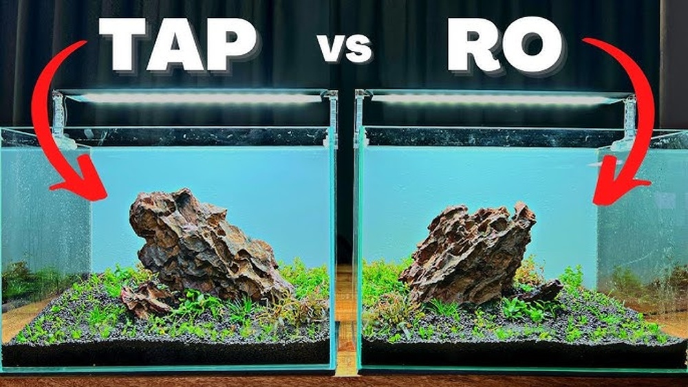 Reverse Osmosis Water for Plants