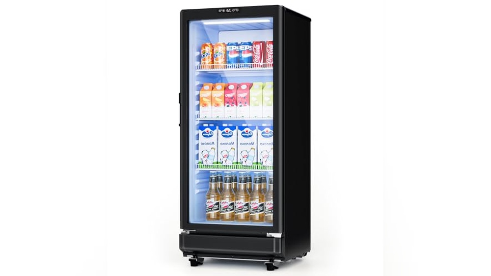 Small Commercial Refrigerator