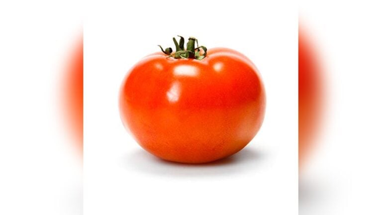 Tomato Slicer