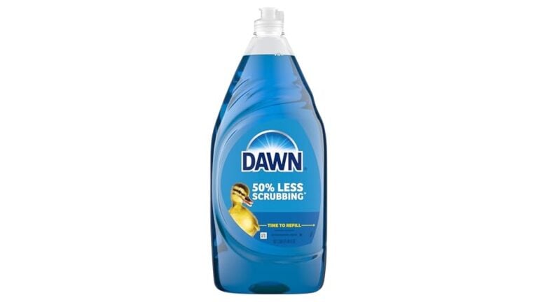 Dawn Dish Detergent