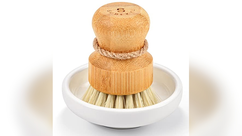 Dish Brush And Holder