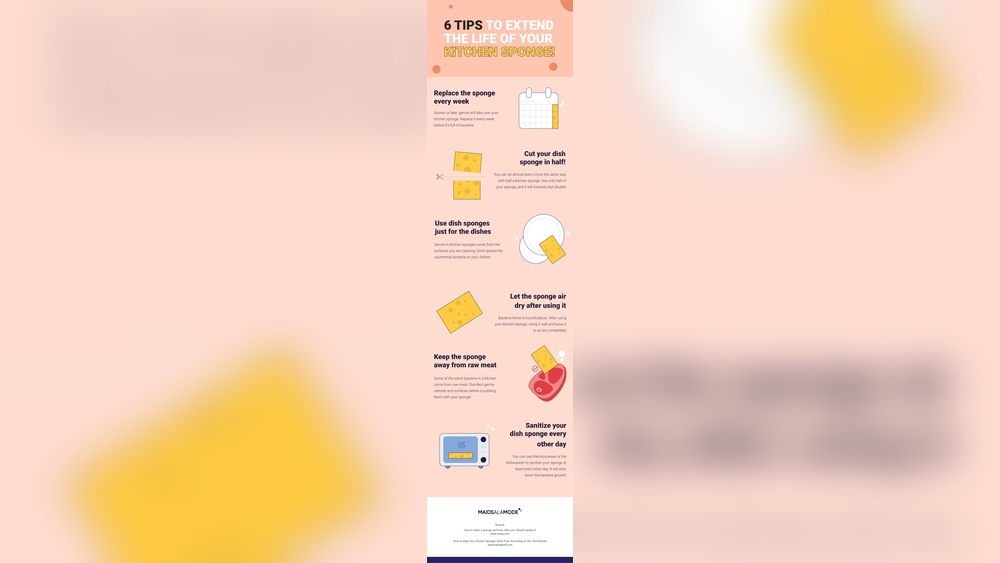 How Often Should I Switch Kitchen Sponge