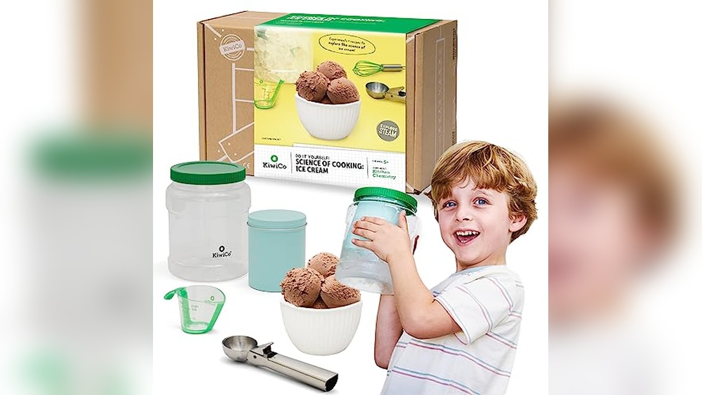Ice Cream Making Kit