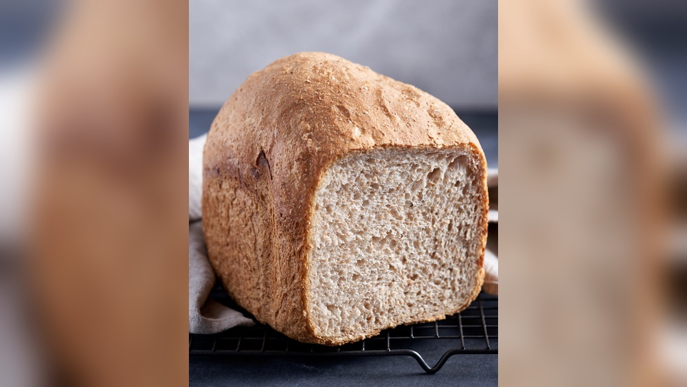Panasonic Bread Maker Sourdough