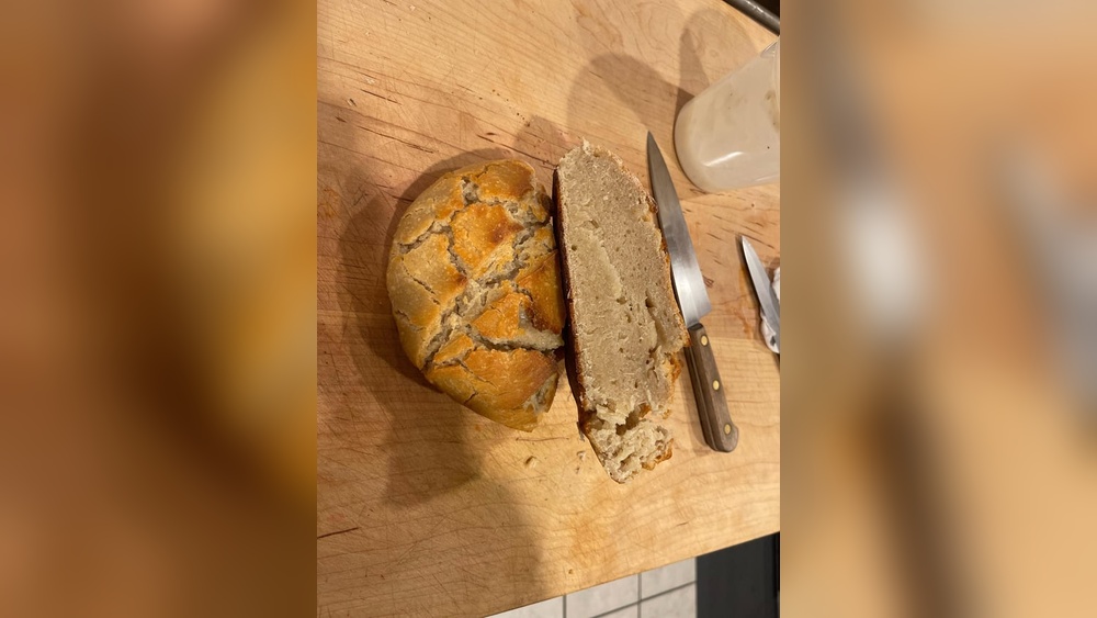 Sourdough Not Rising